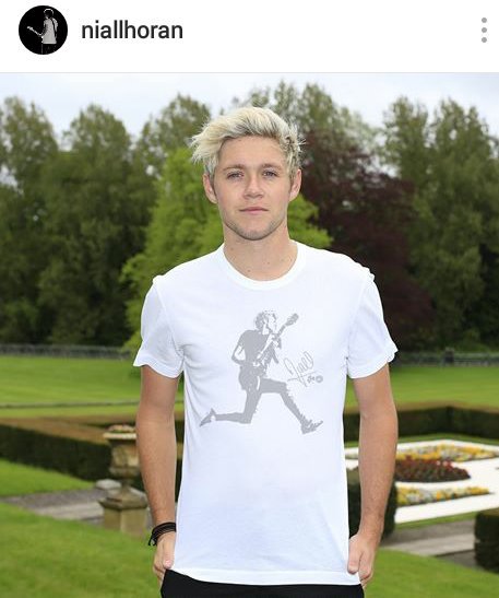 OneDirectionHLA's tweet image. Mi chico ideal lleva mi camiseta ideal❣💭💘 Niall via IG