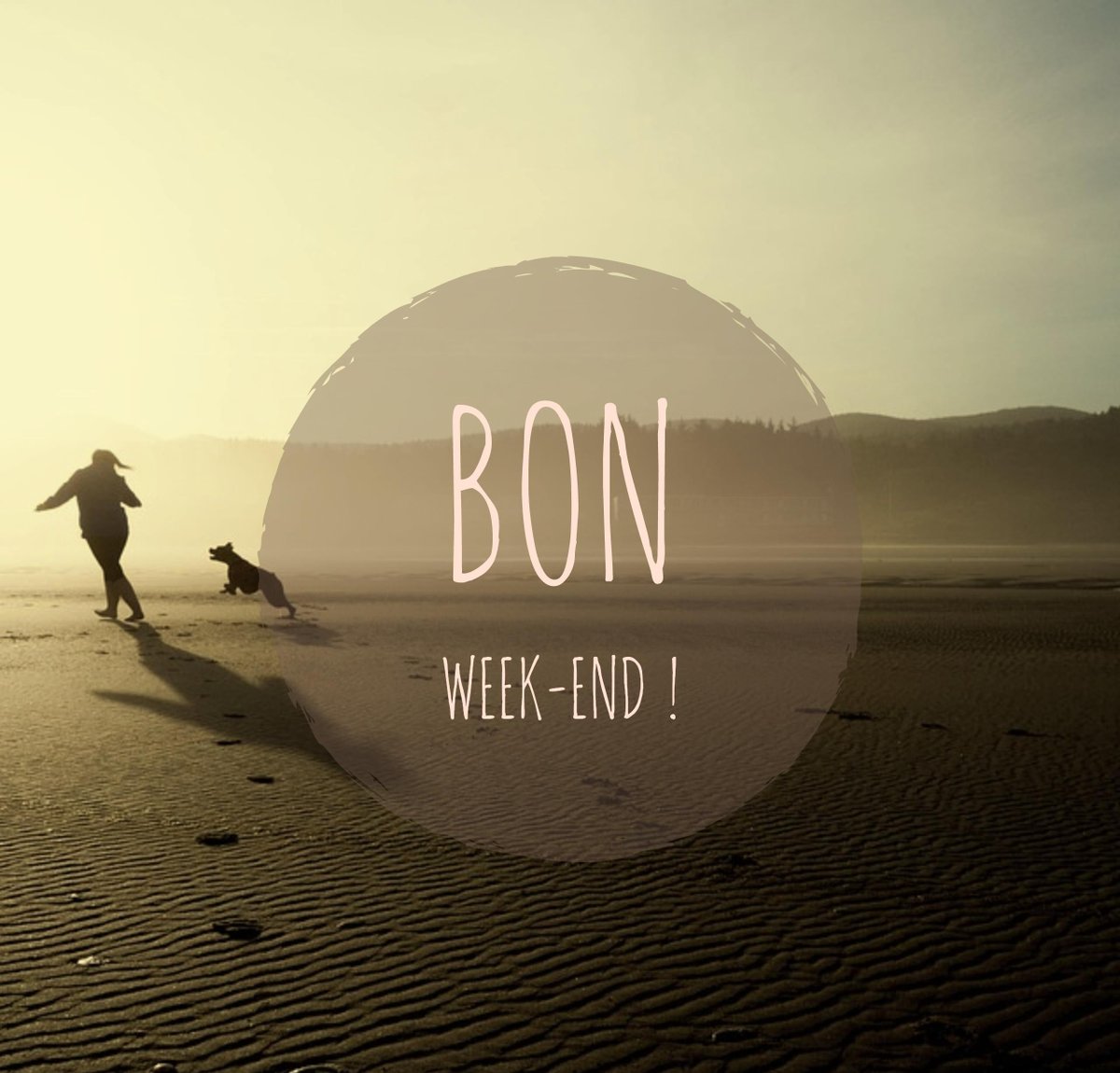wekiki_traceur's tweet photo. L'équipe @wekiki_traceur a un petit truc à vous dire... #chien #weekend https://t.co/WKK8a9NX2V