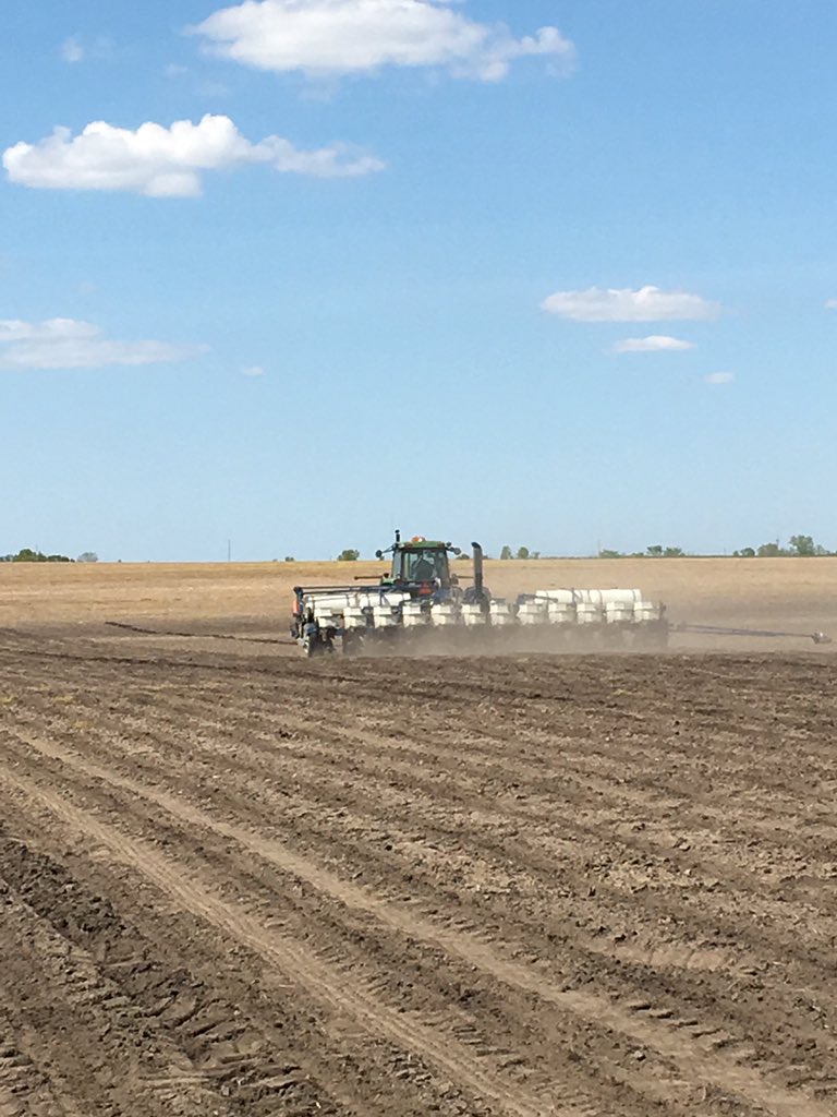 HHgoodman17's tweet photo. Finally got back in the field to plant two plots yesterday!@Channel_OH #plant16 https://t.co/C3VV2undcK