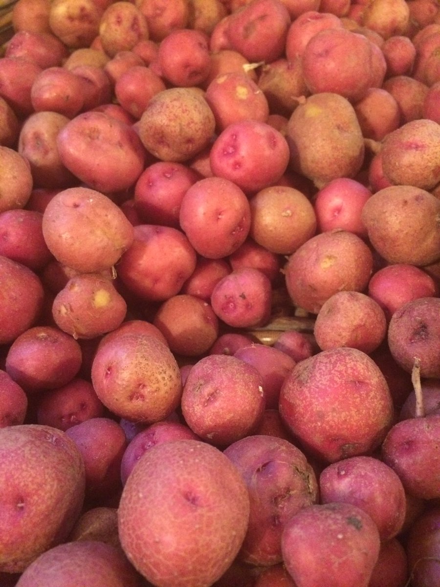 tqskitchen's tweet photo. Another great day at @BoggyCreekFarm https://t.co/9TIHwwTh1A