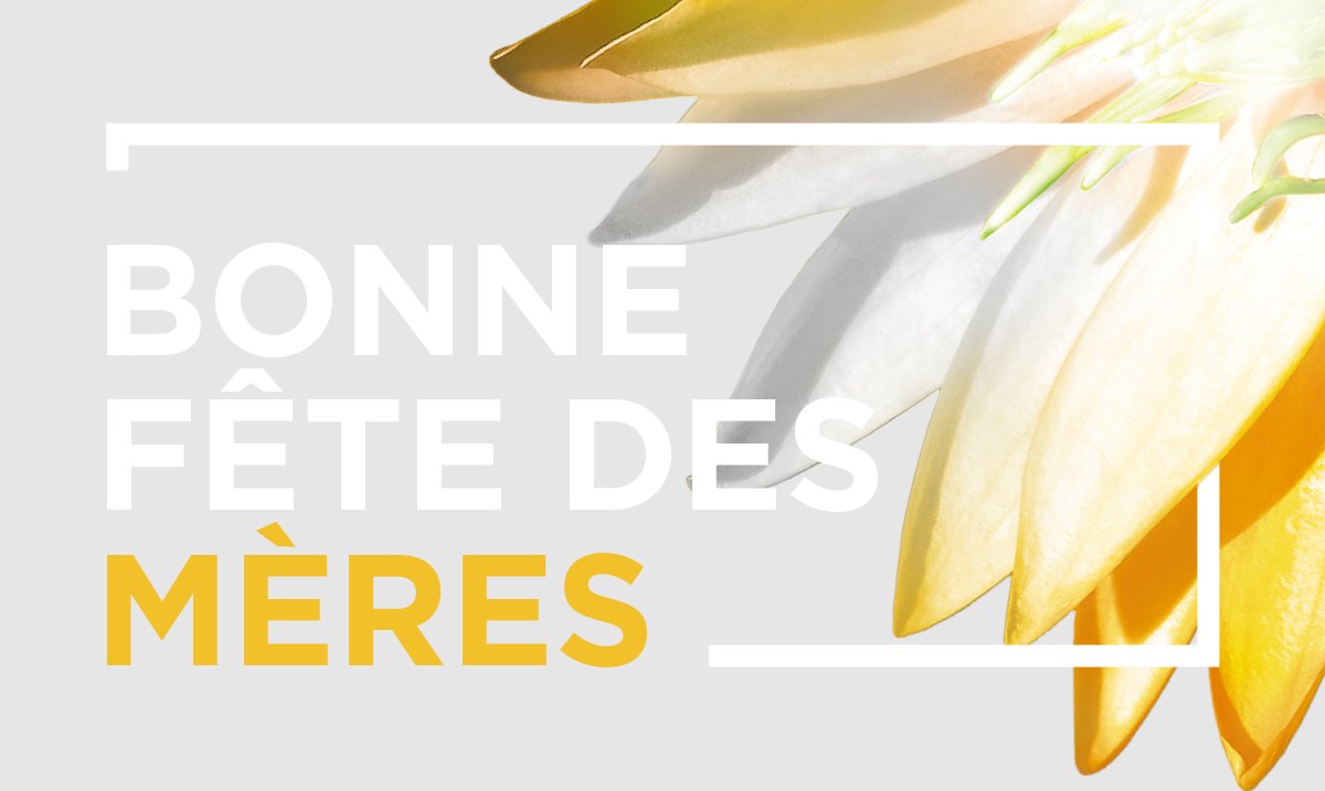 VeldsParis's tweet photo. J-9... La #FeteDesMeres approche ! Rendez-vous sur https://t.co/30BfbPXHw7 pour lui trouver le #cadeau idéal ! https://t.co/TPAGTmeklE