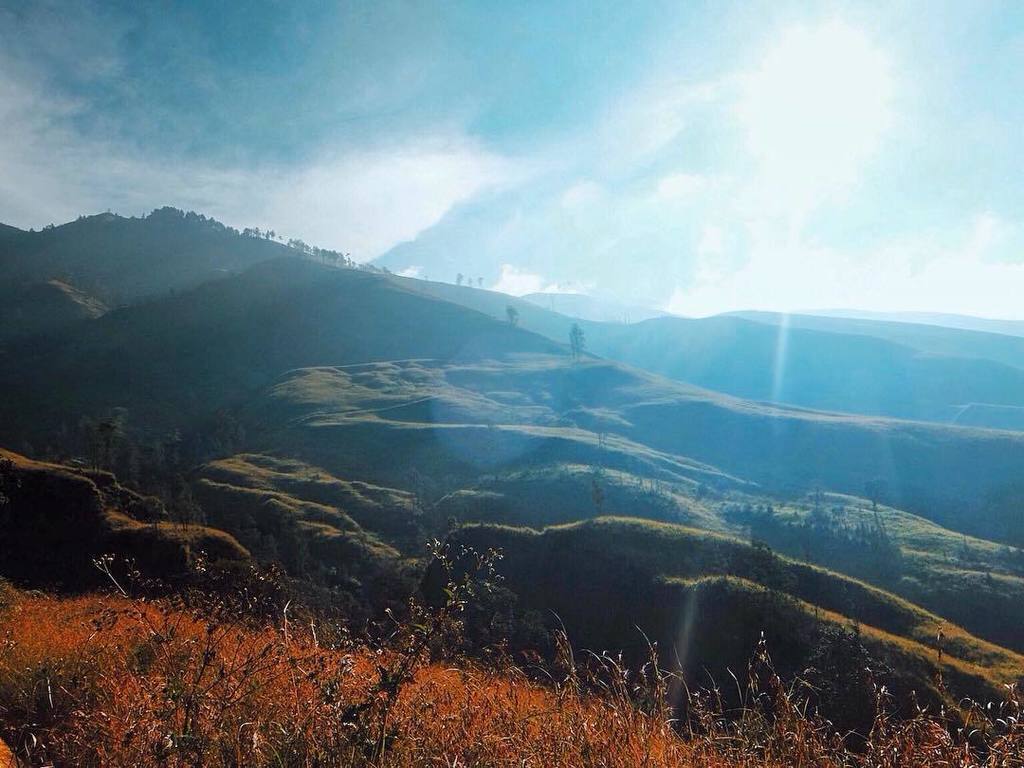 lombokfoto's tweet photo. Breeze vibe.
Rinjani via Sembalun, NTB.
-
#exploreindonesia #explorelombok #discoverindonesia #explorependaki #gun… https://t.co/JZqxpEYAR9