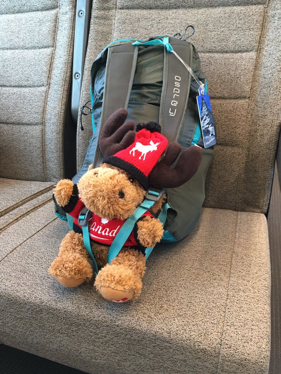wildandtameca's tweet photo. #Canadianmoose day 1 journey to #RubyinAustralia via #Borneo #wildandtame https://t.co/ZHhHffkTaI