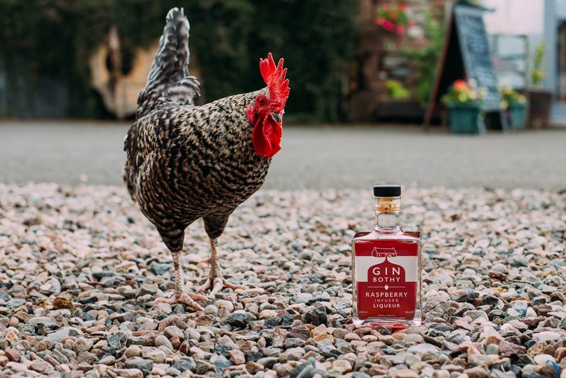 ideal_home_show's tweet photo. To #win a bottle of @TheGinBothy epic small batch gin. RT &amp; Tag a friend who would like this #bothyontour #IHSS16 https://t.co/TBG4DAtDbu
