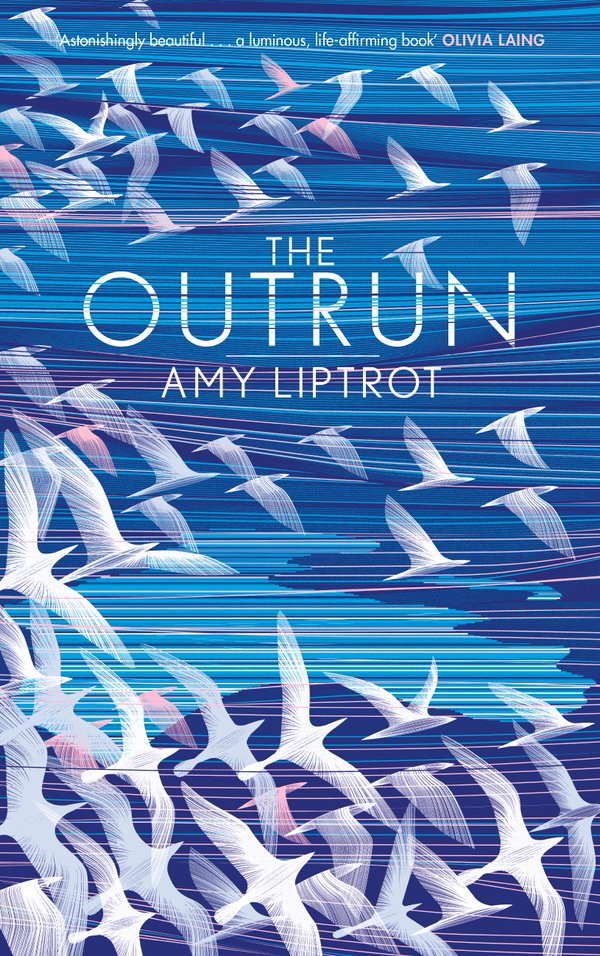 Book lovers of the world unite! We have an in-festival Book Club w/ <a href="/amy_may/">amy may</a> &amp; <a href="/Claire2122/">Claire</a>: also-festival.com/event/also-fes…