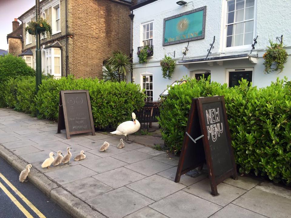 #happyfriday time for the pub in Barnes
