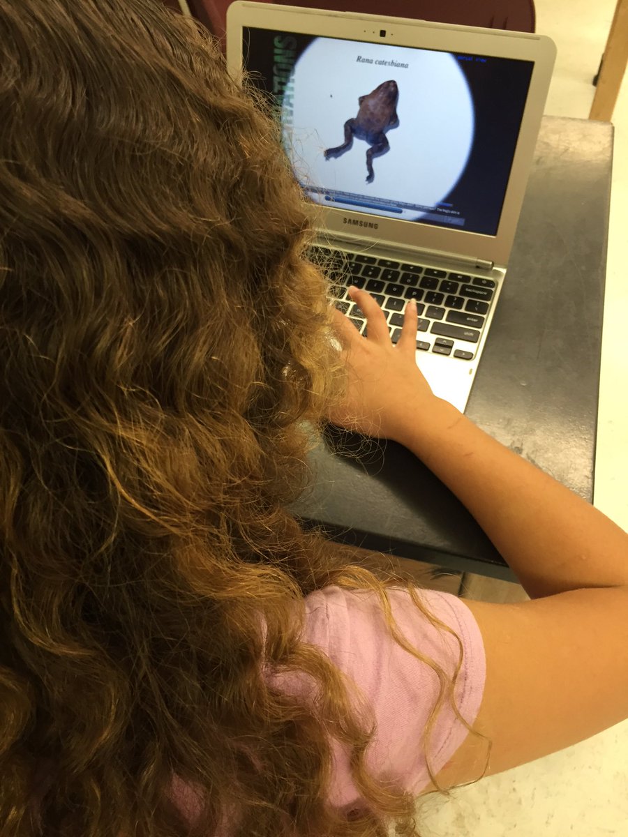 BuengerSarah's tweet photo. Froguts virtual dissections. #wjhchat #froguts #frogdissections https://t.co/THcMWq9zlL