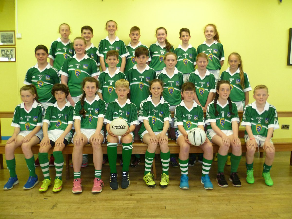 LimerickGAAzine's tweet photo. Limerick boys and girls resplendent in their gear for the Munster GAA Primary Game v Clare https://t.co/3opplB5lRo