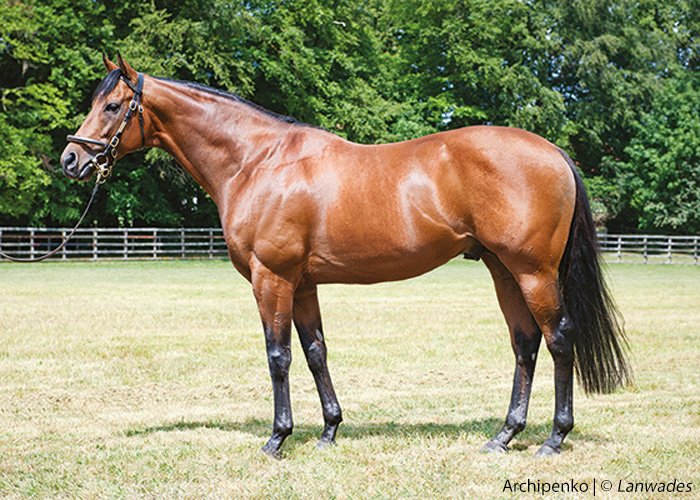 theTDN's tweet photo. Cocked Hat Goes To Archipenko Colt #Algometer at @Goodwood_Races Watch race replay here https://t.co/pGfktLRKZJ https://t.co/YRQGEx2Kja