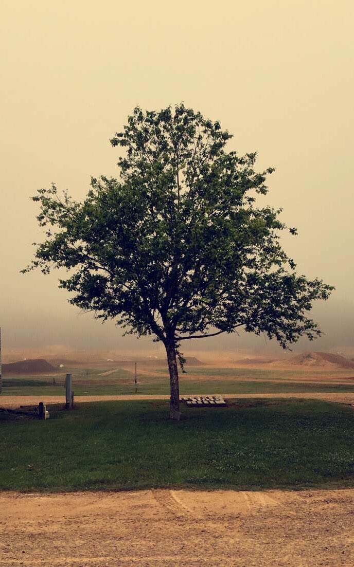 George (@tradinggeorge_) on Twitter photo 