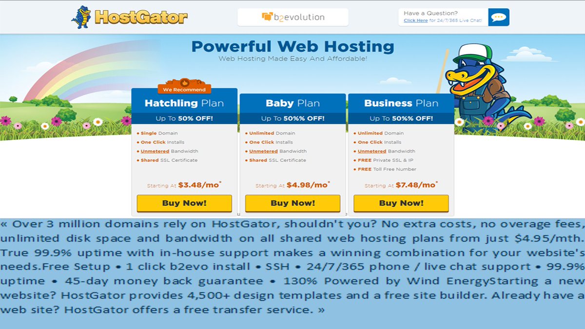 Web Hosting Chart