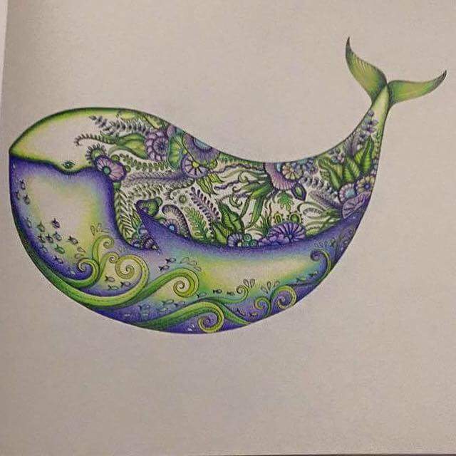 teresachard2's tweet photo. Wally the whale #johannabasford #lostocean #adultcolouring #colouringformindfulness https://t.co/piJRCPGKIP