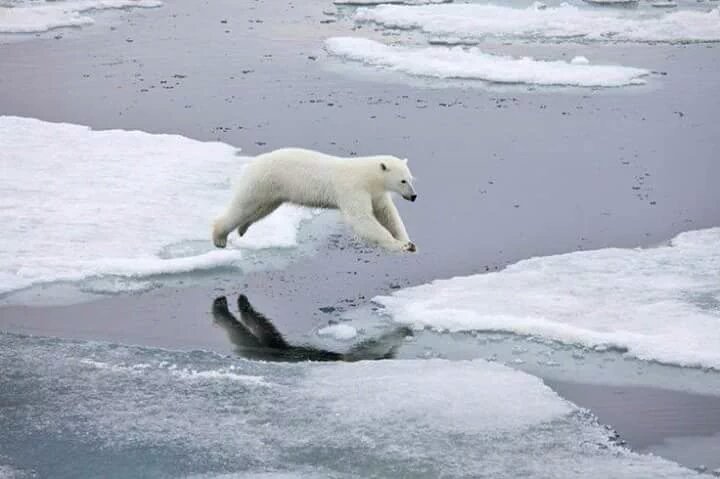 kentkristensen1 tweet picture