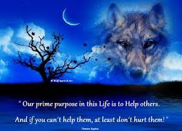 HellsHound tweet media