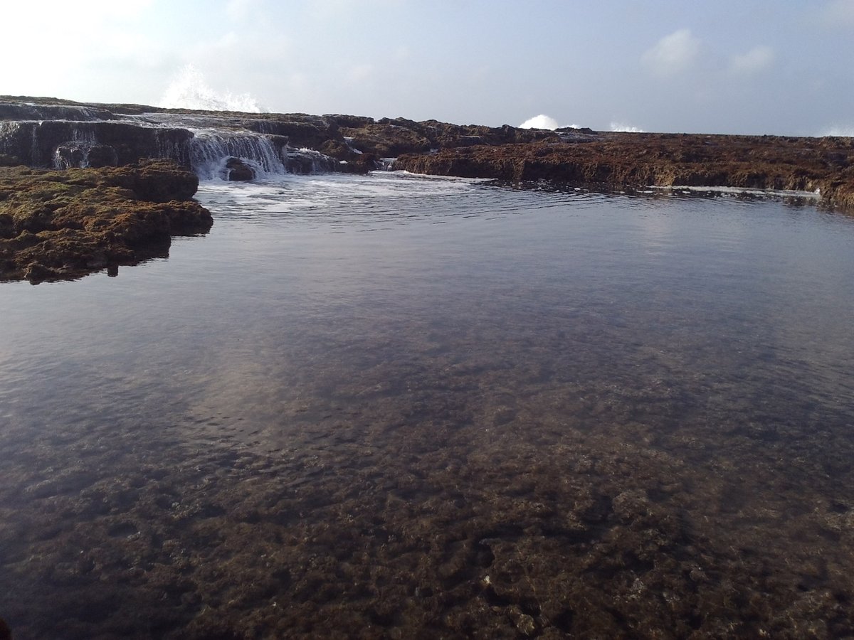 BioNept's tweet photo. #Bionept troopers @CarlaRLourenco & @CorDeGeleia sample spectacular #intertidal at Plage des Contrebandiers #Rabat. https://t.co/eNrkK3XWDe
