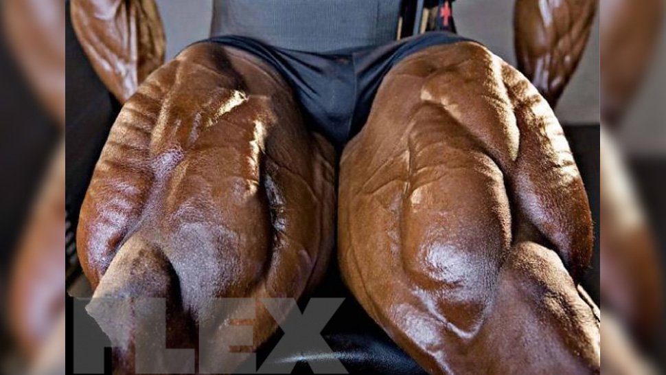 FLEX_Magazine's tweet photo. How to build big quads without busting your back: https://t.co/oL6151Mbss https://t.co/DOj2yKOneV