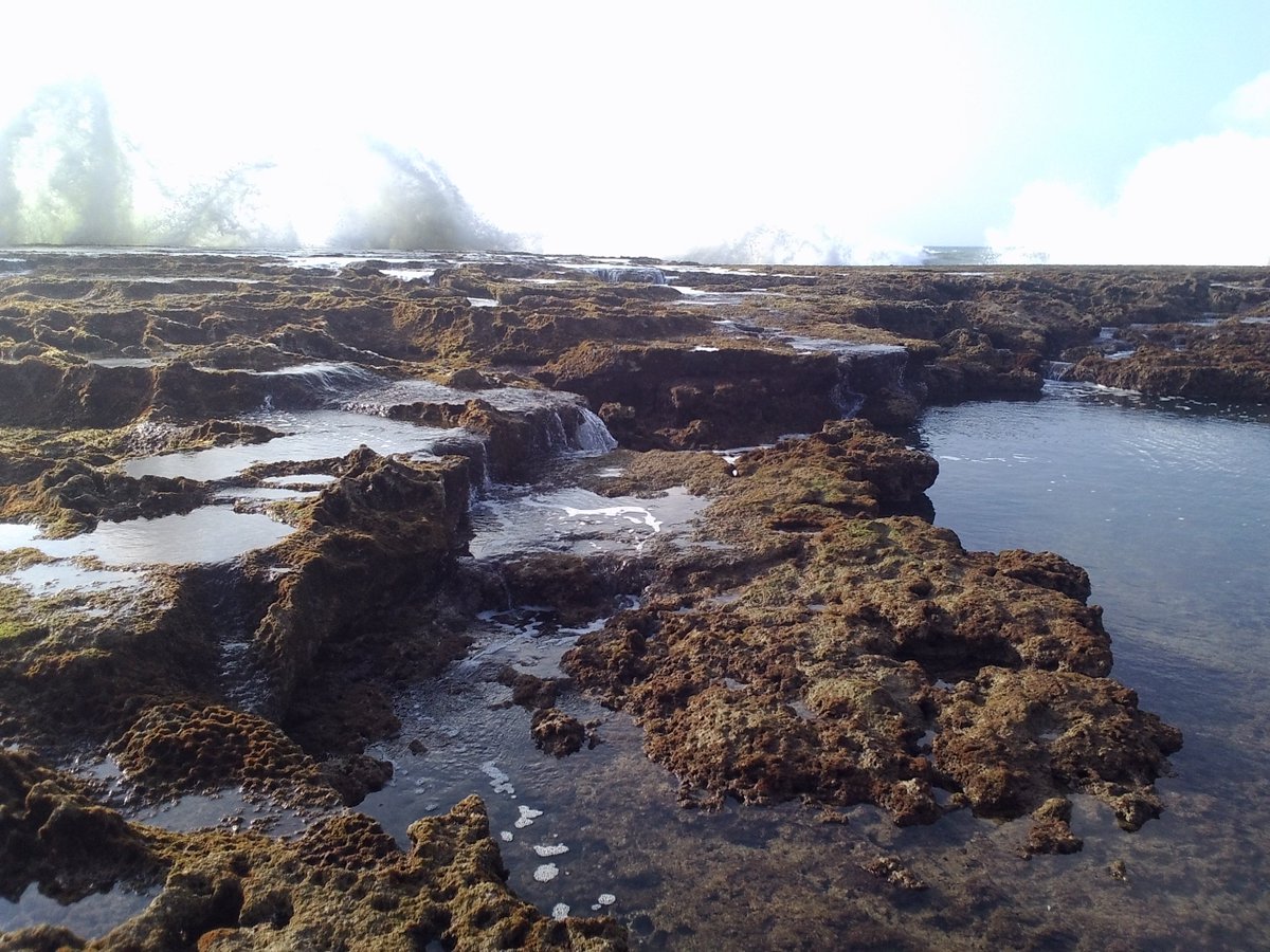 BioNept's tweet photo. #Bionept troopers @CarlaRLourenco & @CorDeGeleia sample spectacular #intertidal at Plage des Contrebandiers #Rabat. https://t.co/eNrkK3XWDe