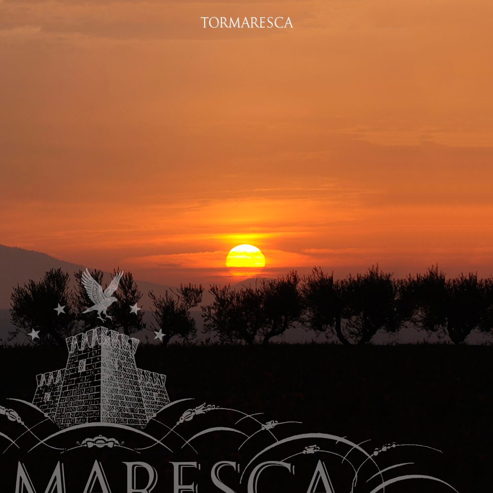 Tormaresca's tweet photo. #Kaloro, un nome ispirato all’amabile clima della Puglia, all'oro della sua terra costantemente baciata dal sole. https://t.co/AbnWbHvyen