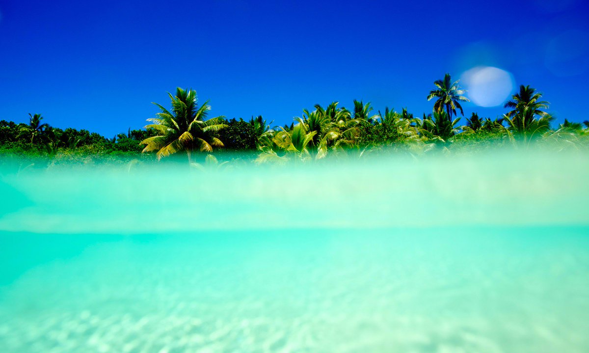 Off to paradise #FijiPro 🌴 | 📷 <a href="/MorganMaassen/">Morgan Maassen</a>