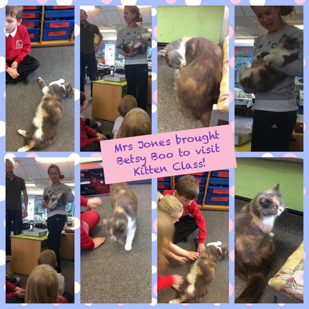 NewInnPrimary's tweet photo. We asked Mrs Jones lots of questions to find out how she looks after Besty Boo #caringforcreatures 🐱 https://t.co/H1iD9lKyTk