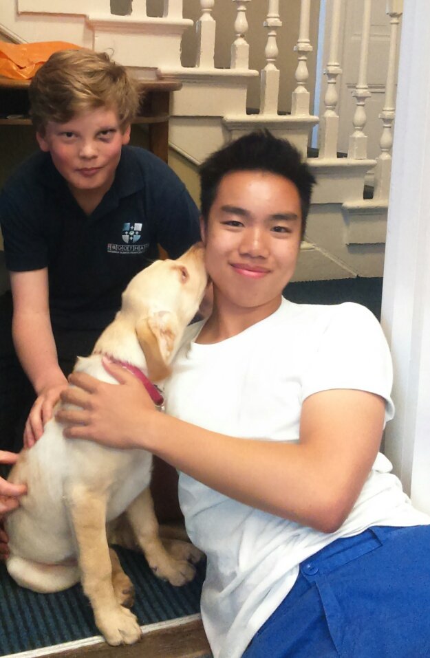 BoothamBoarding's tweet photo. Rosie's first ever duty in Fox house @BoothamBoarding @Boothamschool already more popular than the house staff... https://t.co/yPuw2FsUZI