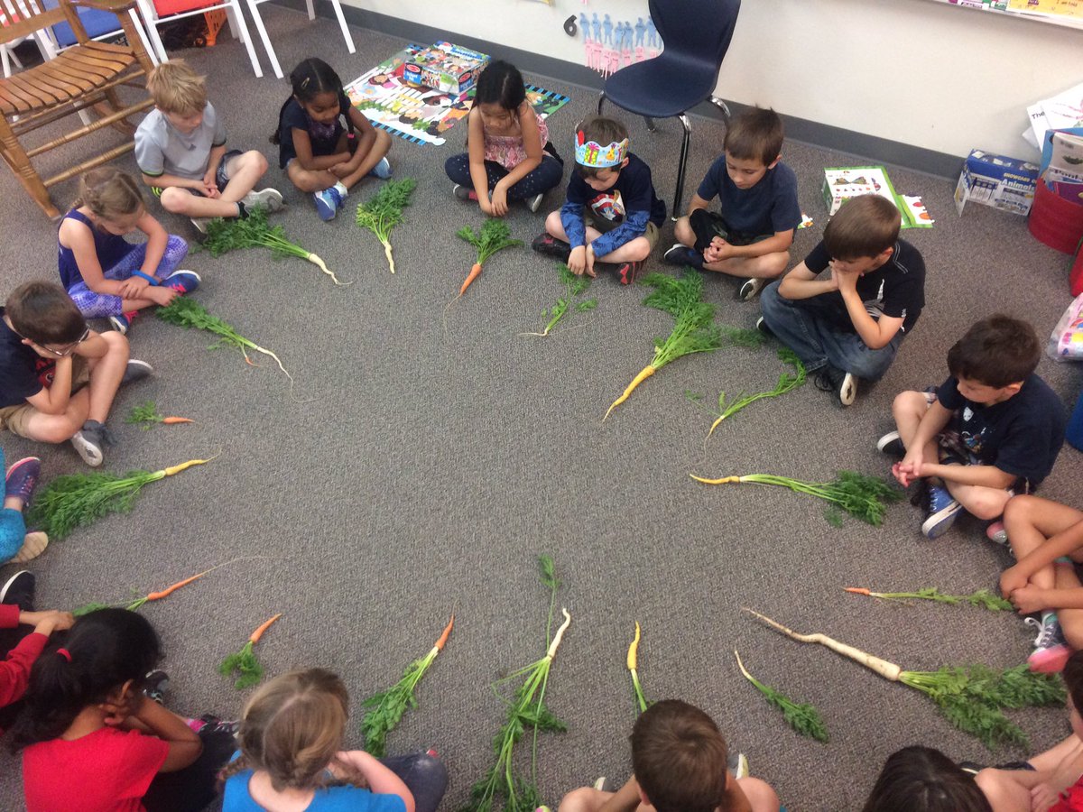 pat_volpicella's tweet photo. Our carrot seeds grew in the garden! Plant science lesson complete! #reaganrays #lisdtw #SLB7 https://t.co/pO2YmXD3QY