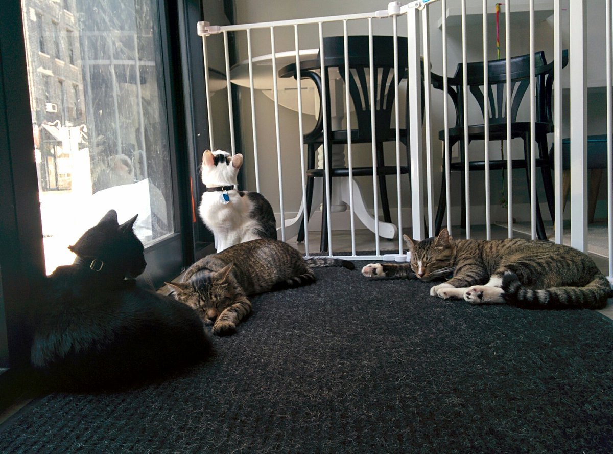 Jérémie tweet media