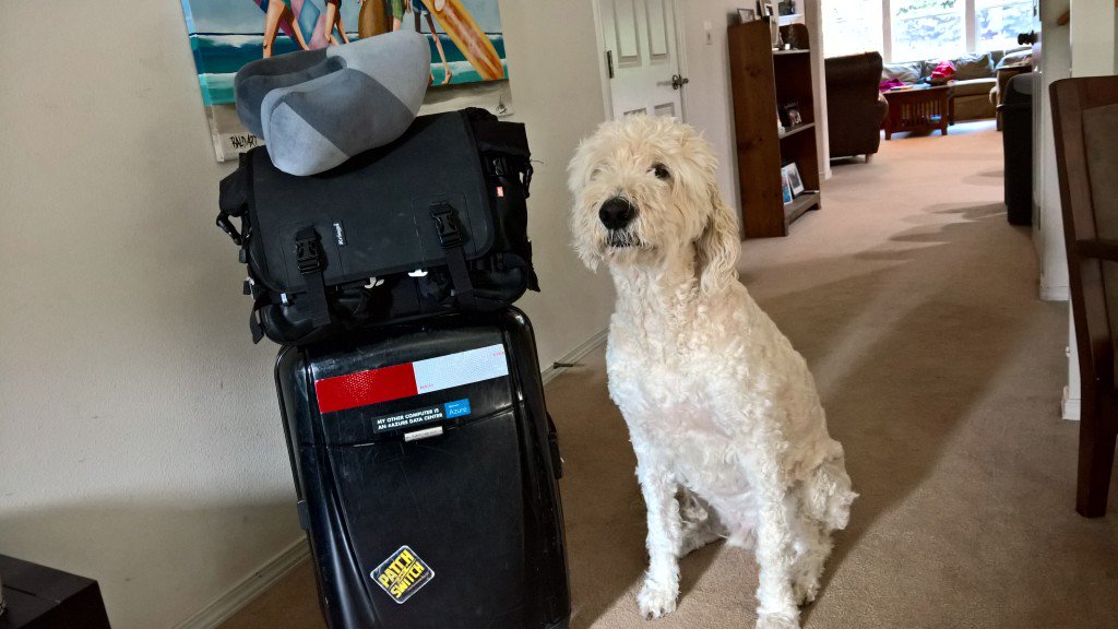 RegularITguy's tweet photo. Looks like I am ready to go to #cloudroadshow in Milan, but someone doesn't want me to go! https://t.co/G3YI3TJorx