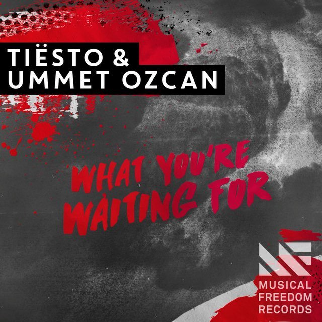 ClubHouseChart's tweet photo. Tiësto &amp; Ummet Ozcan - What You're Waiting For - https://t.co/7ExdlzpiTM | #CHC https://t.co/B8nwcqyc7s