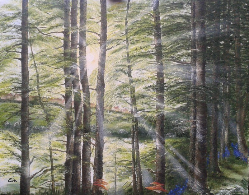 ADOartgallery's tweet photo. ADO's #art of the day is by #artist Eira Williams 
https://t.co/U2ExXvQDXy https://t.co/EWHl4cGGGP