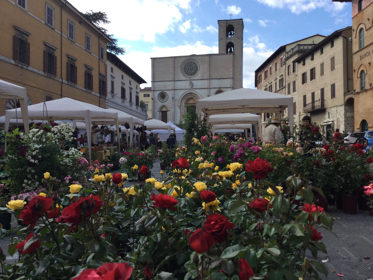 Mirella Castrichini tweet media