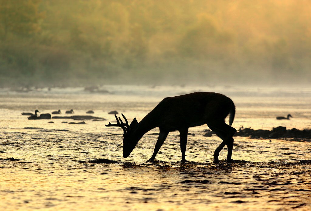 rdemo's tweet image. goo.gl/SgCYNJ
#AChurchThatWorks #PastorsPerspective