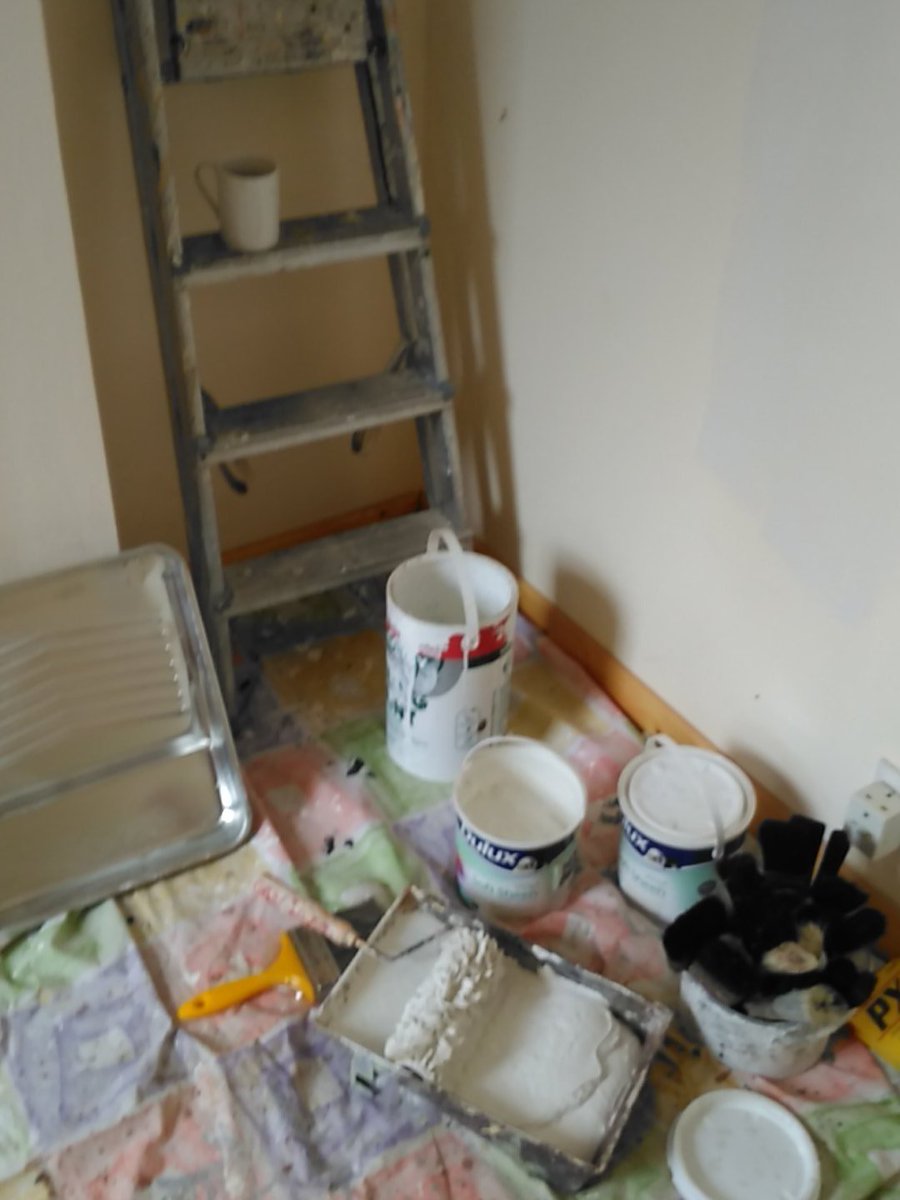 mrbobdaly's tweet photo. And have to do it all again tomorrow
#secondcoat
๐๐ ๐ https://t.co/M3yESWiSQ2