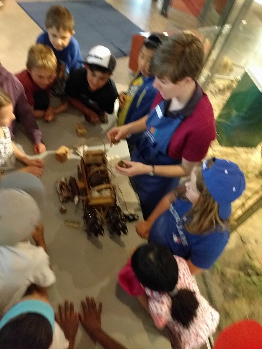 classwithsmith's tweet photo. Hitching up our wagons! @WRegionMuseum #LexVisitsFun https://t.co/WKwb2Jjtus