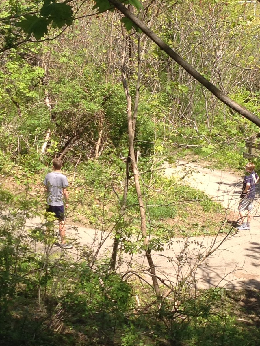 AdrianManickam's tweet photo. @ErindaleSS @srtrupp #ESSSCIENCE - Trophic Level Survival Game with the grade 9 science class. https://t.co/O4SUaBwBtq