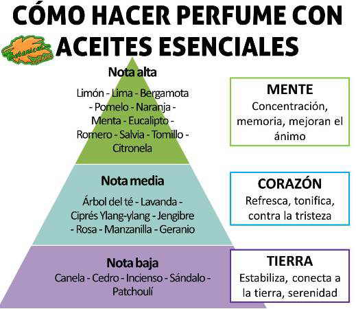 SwisJustDirecto tweet picture