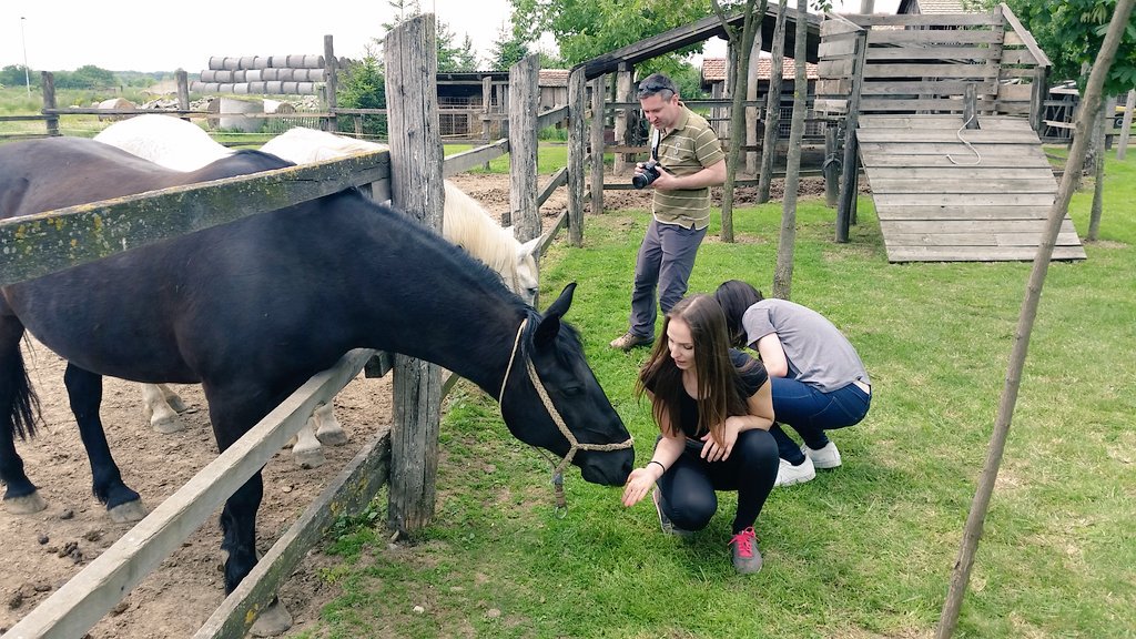aronstanic's tweet photo. Another Inchoo Learning Day, another #Friday outdoors. We also celebrated our 8th bday - it was a fun #ILD8 :) https://t.co/IPFSZrgZy4