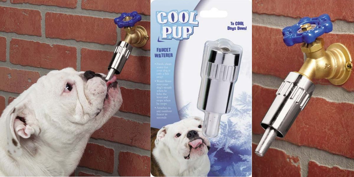 Petfaucet Hashtag On Twitter