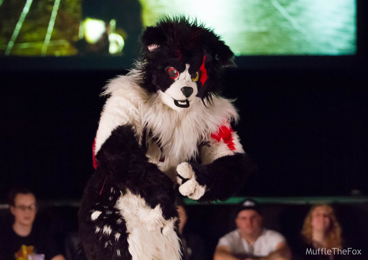 MuffleTheFox's tweet photo. I loved @AxtonEgo in the BLFC Dance Competition!  The "Blooooood!" part from Zootopia was great! https://t.co/INWxK0Rv4K