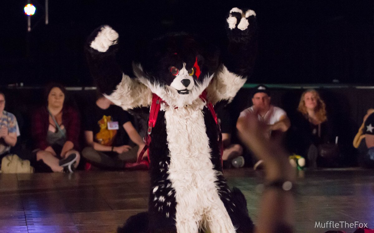 MuffleTheFox's tweet photo. I loved @AxtonEgo in the BLFC Dance Competition!  The "Blooooood!" part from Zootopia was great! https://t.co/INWxK0Rv4K