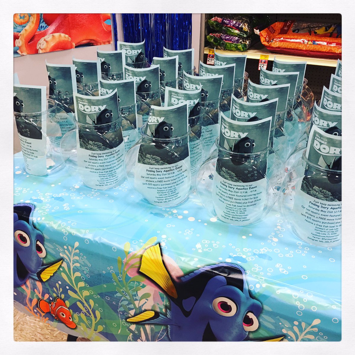 PetSmart1683's tweet photo. We are ready for an AWESOME #FindingDory event tomorrow!  Come and visit 12-4!  #FindingDory #petsmartevents #disney https://t.co/SLw4Z2xCBG