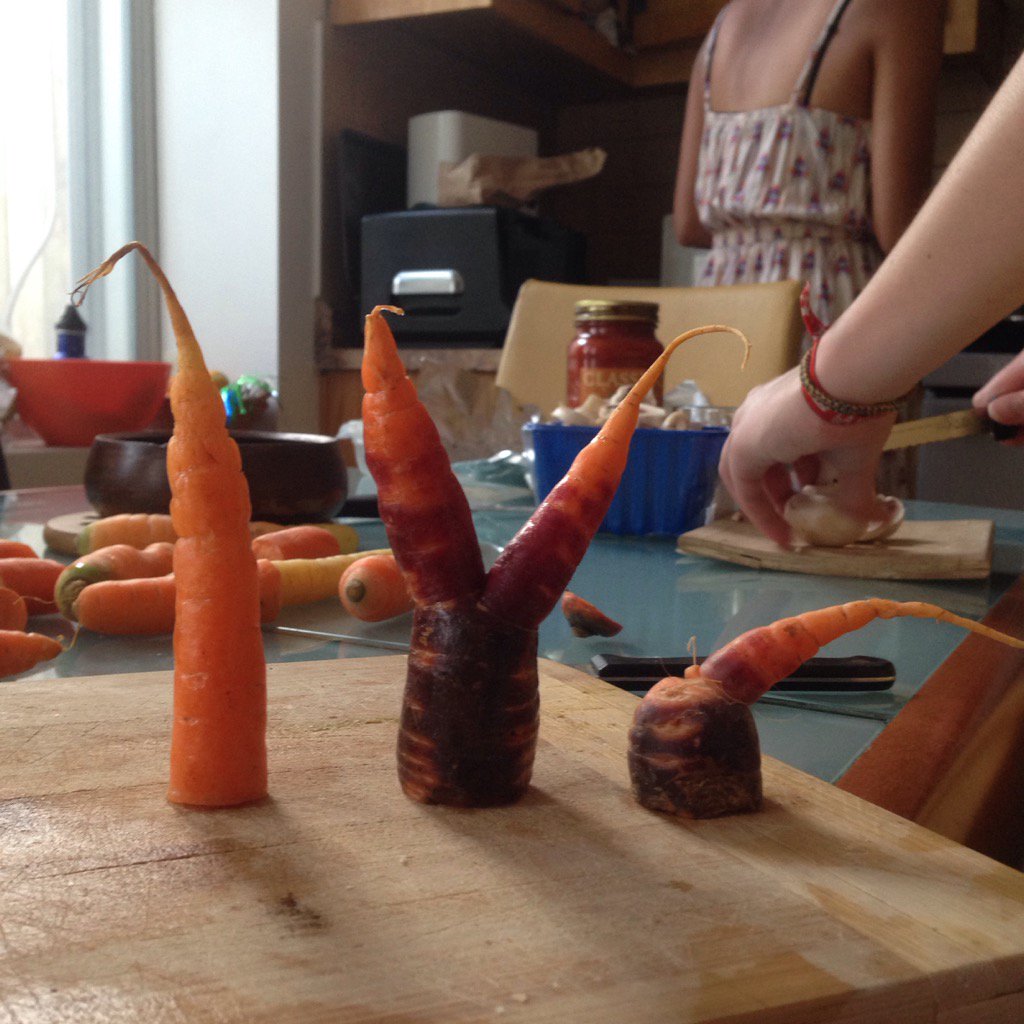 OximetingBird's tweet photo. Ca cuisine du légume #moche mais drôle. #carrotsforeveryone @iMoches #Montreal #uglyfood #local #FoodRevolution https://t.co/oETWKh0KdC