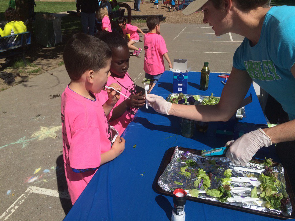 A2Haisley's tweet photo. Tasting salad from the Haisley garden.  What a treat during Walk A Thon!  #A2haisley#a2schools#greatsnack https://t.co/Ra5us1NfkO