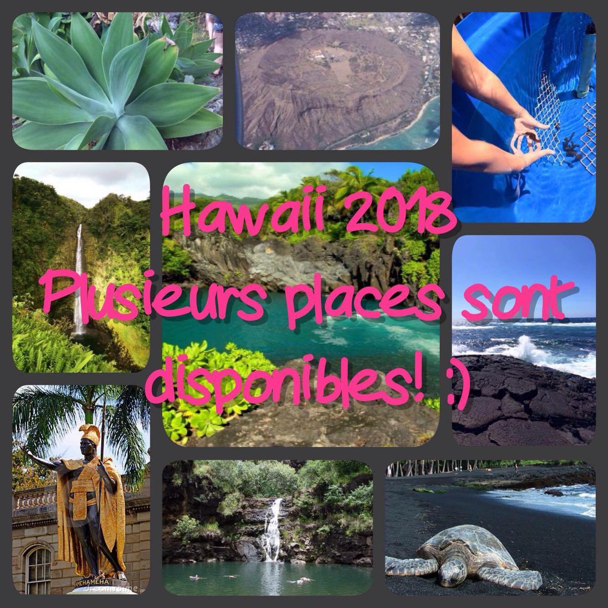 Les Patriotes (@ljr_patriotes) on Twitter photo 