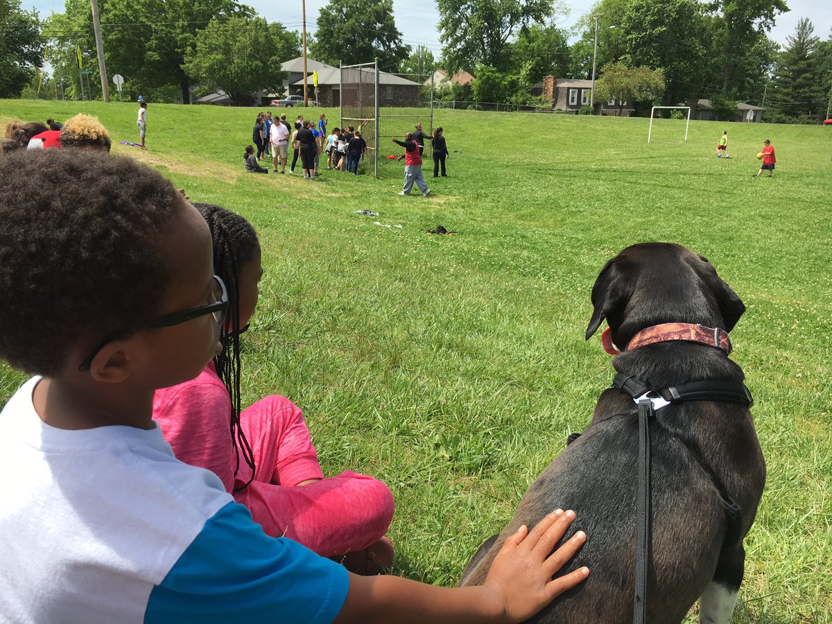 BeringerDen's tweet photo. Loving some teacher vs 5th grade kickball. #brebest #cpsbest #goteachers https://t.co/8Ajq8lMncw