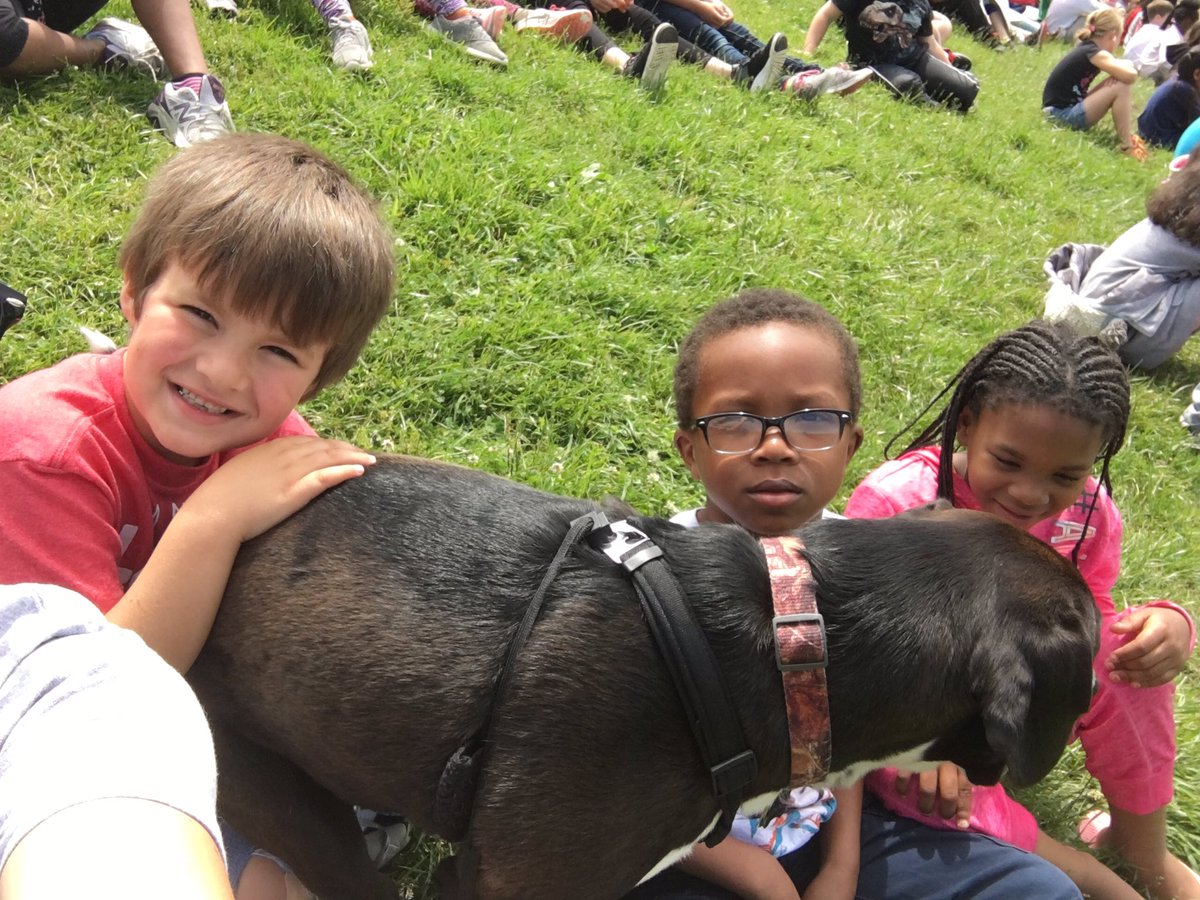 BeringerDen's tweet photo. Loving some teacher vs 5th grade kickball. #brebest #cpsbest #goteachers https://t.co/8Ajq8lMncw