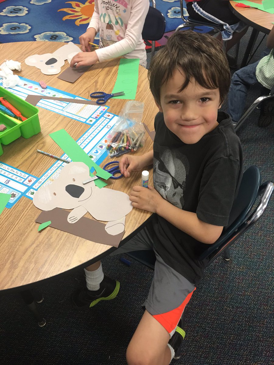 BermanFirsties's tweet photo. Look at these cute Koalas climbing their eucalyptus trees! Koalas get water by eating the leaves! #ivyhillleague https://t.co/AAUgp8VxRp