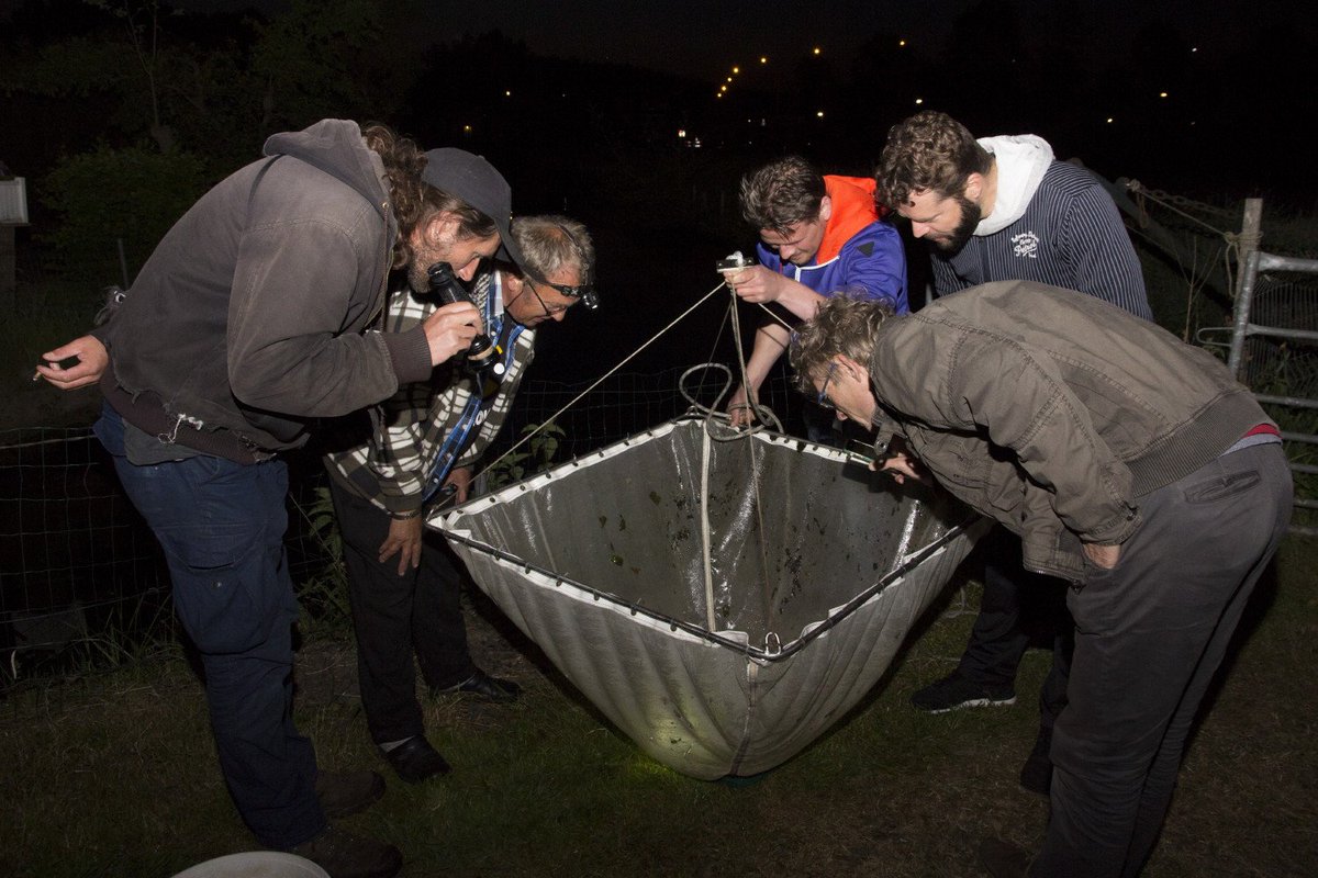 #WFMD2016 gestart. Vanavond laat zijn vrijwilligers druk met vismonitoring bit.ly/20gkhPb
Ook <a href="/Waternet/">Waternet</a>