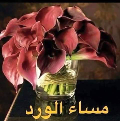 thruiopkmvb's tweet photo. @rijahussein https://t.co/1lb3R5Hocl