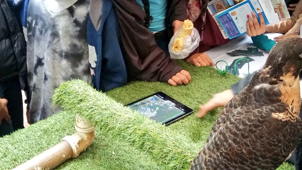 techauka's tweet photo. Halcones con GPS en el stand de Raptor-Cetrería en Paraguay
#TechaukASU https://t.co/sfJ9XuDIQZ